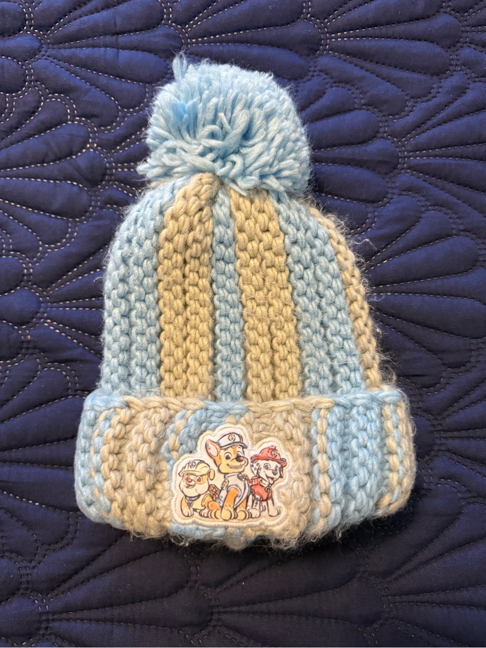Paw Patrol Kids Light Blue & Beige Pom Pom Knit Beanie with Character Patch